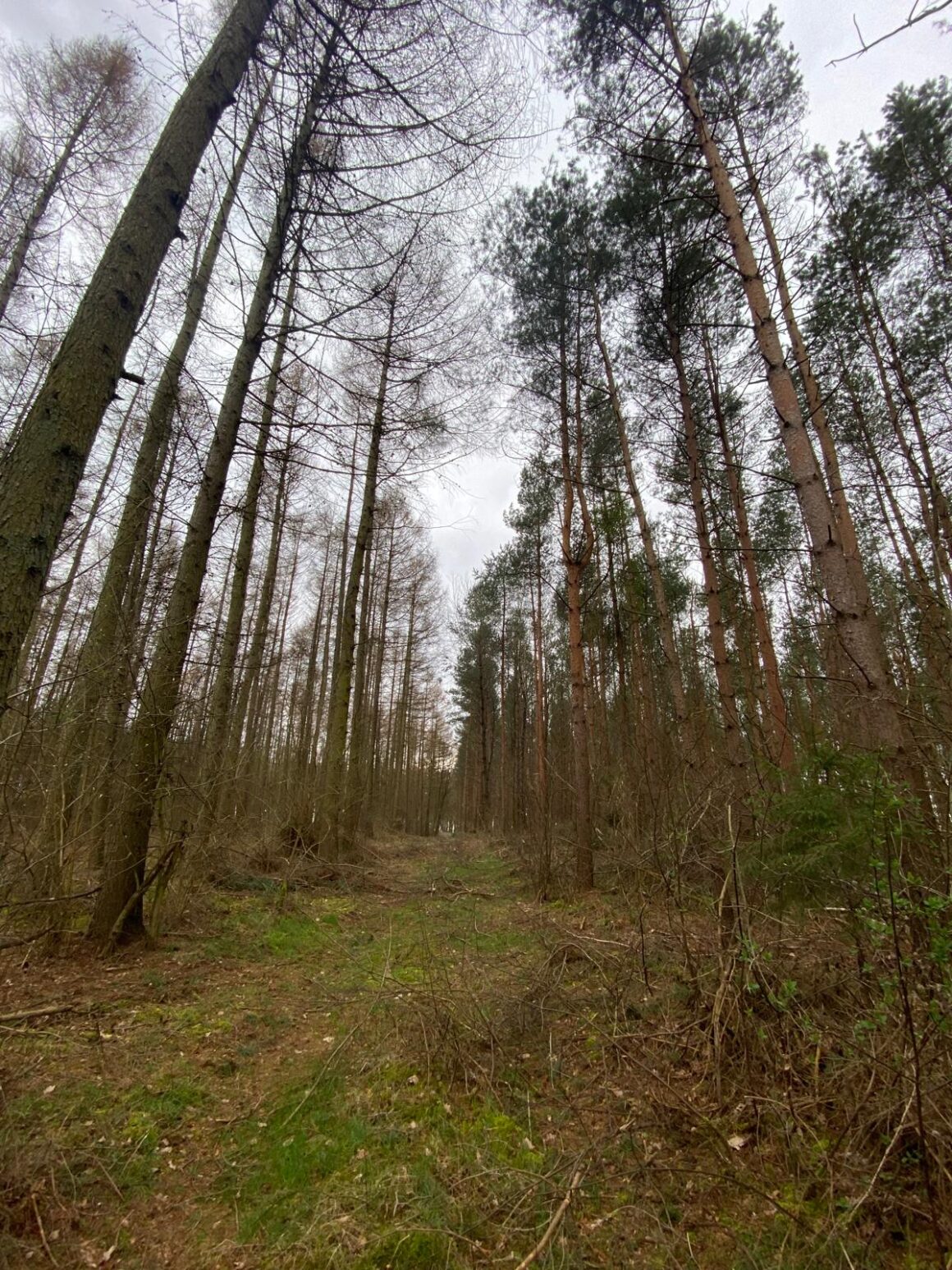 Bürokratieabbau im Naturschutz? Fehlanzeige!