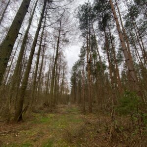 Bürokratieabbau im Naturschutz? Fehlanzeige!