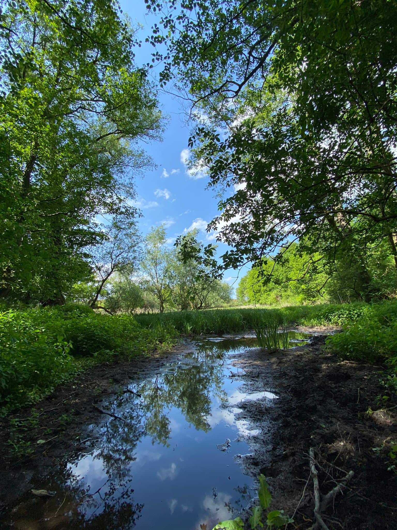 Reflektierende Wasserflächen und grüne Natur beim eMission-X.
