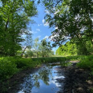 Moorschutz bei Klein Breesen