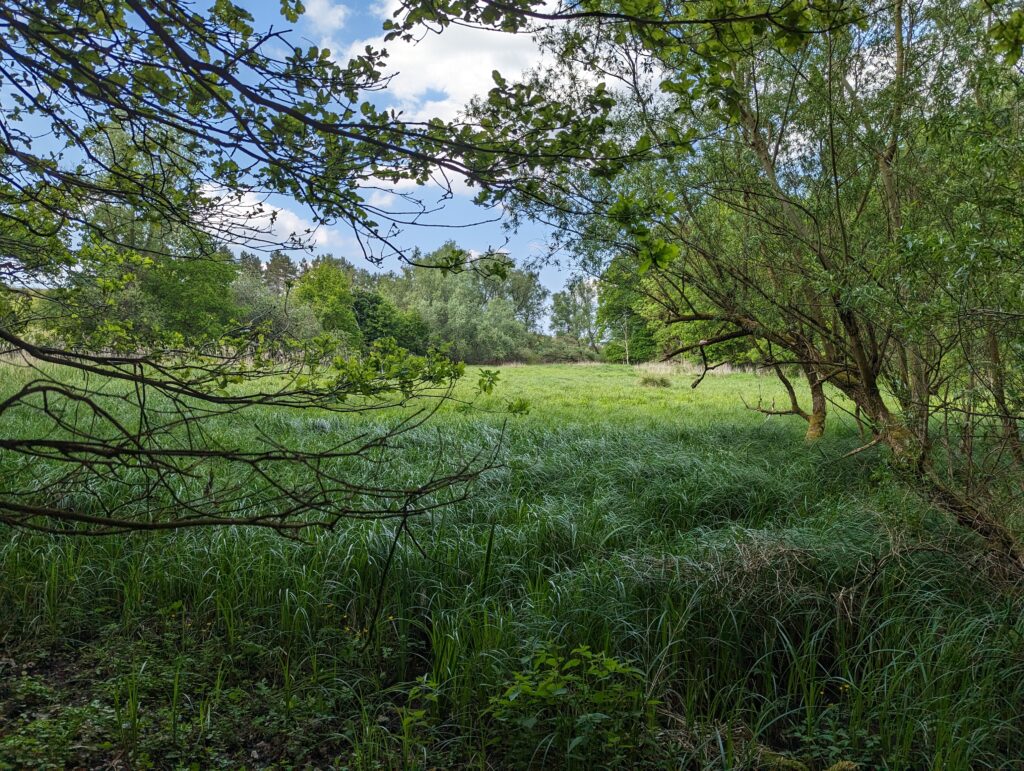 Klein Breesen Moor