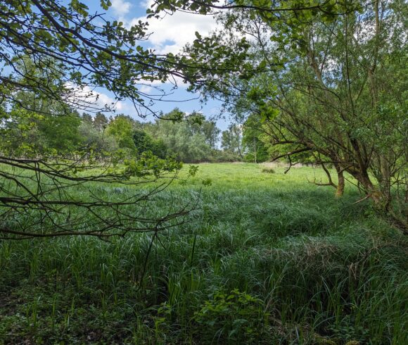 Klein Breesen Moor