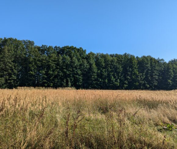 Löwenberger Land / Brandenburg