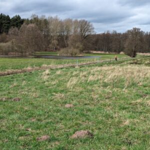 Grundstück bei Zernin gekauft