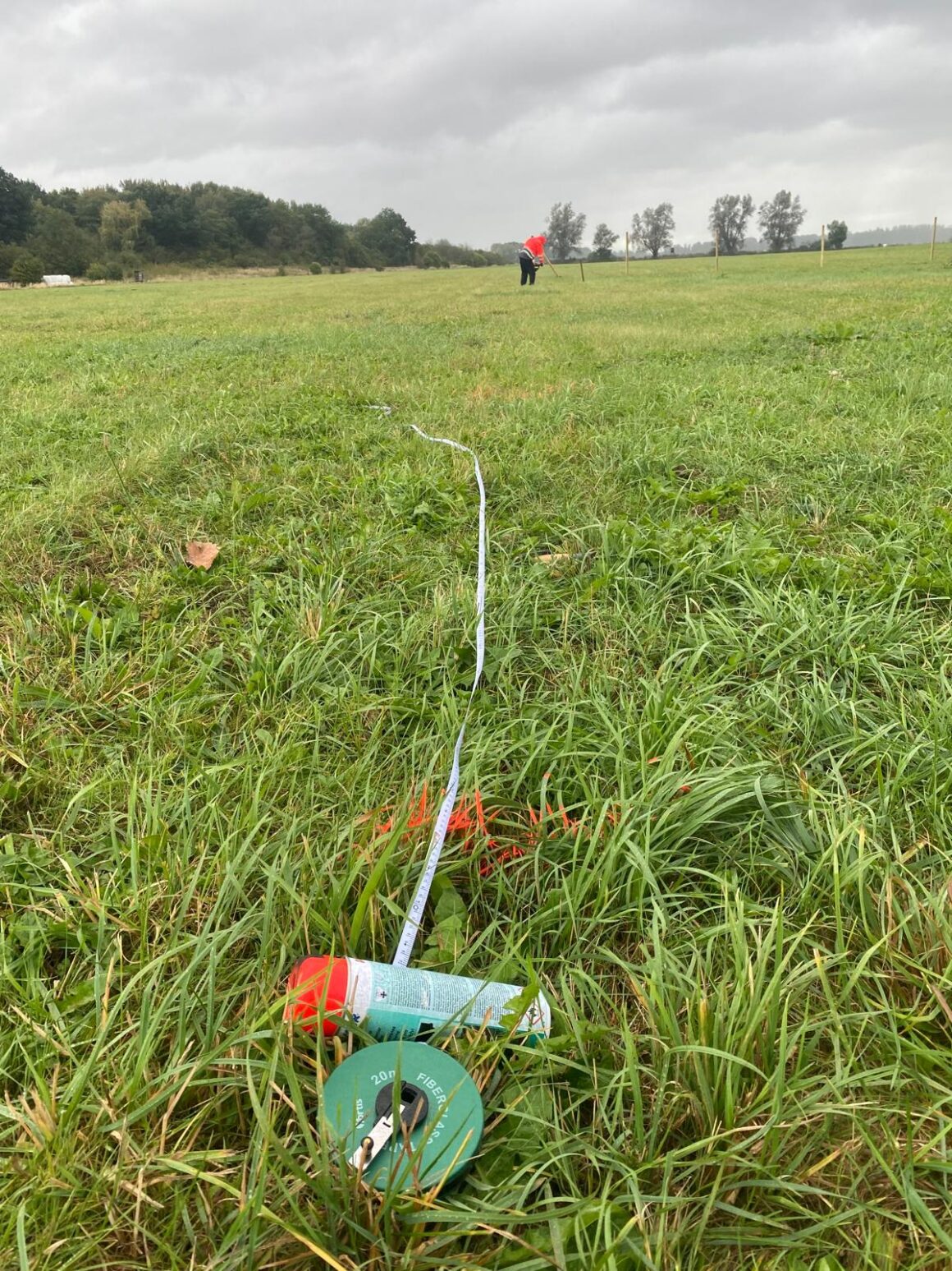 Rewilding in Wusseken: Stufe 1 abgeschlossen