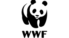 Der WWF meint, das aufforsten nichts bringt